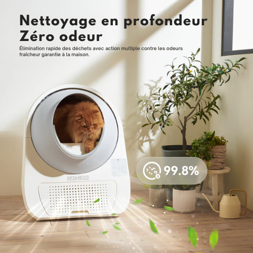 OroClean™
