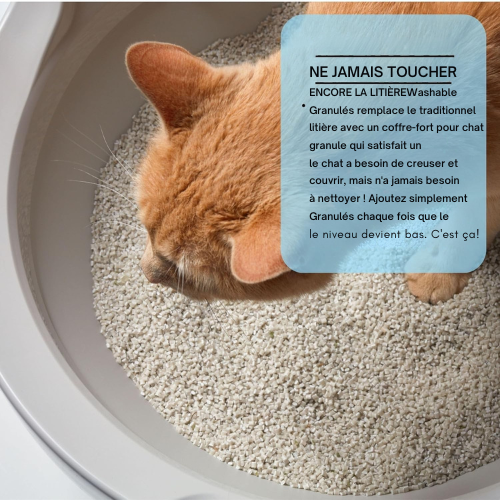 Cleanora™
