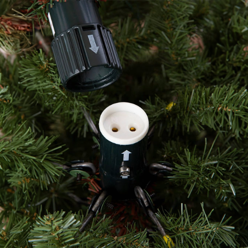GlowSpruce™