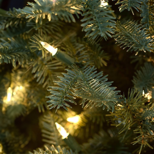 GlowSpruce™